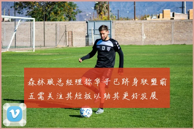 森林狼总经理称华子已跻身联盟前五需关注其短板以助其更好发展