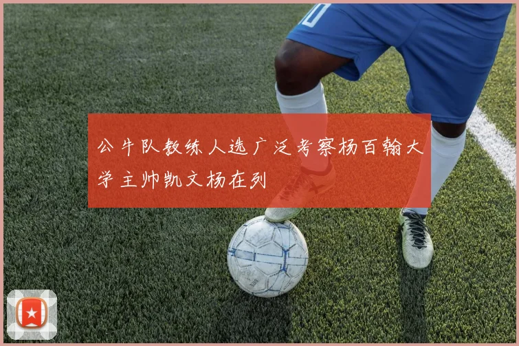 公牛队教练人选广泛考察杨百翰大学主帅凯文杨在列